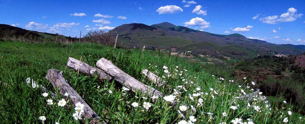 Agriturismo Sorripe Montelaterone Екстер'єр фото