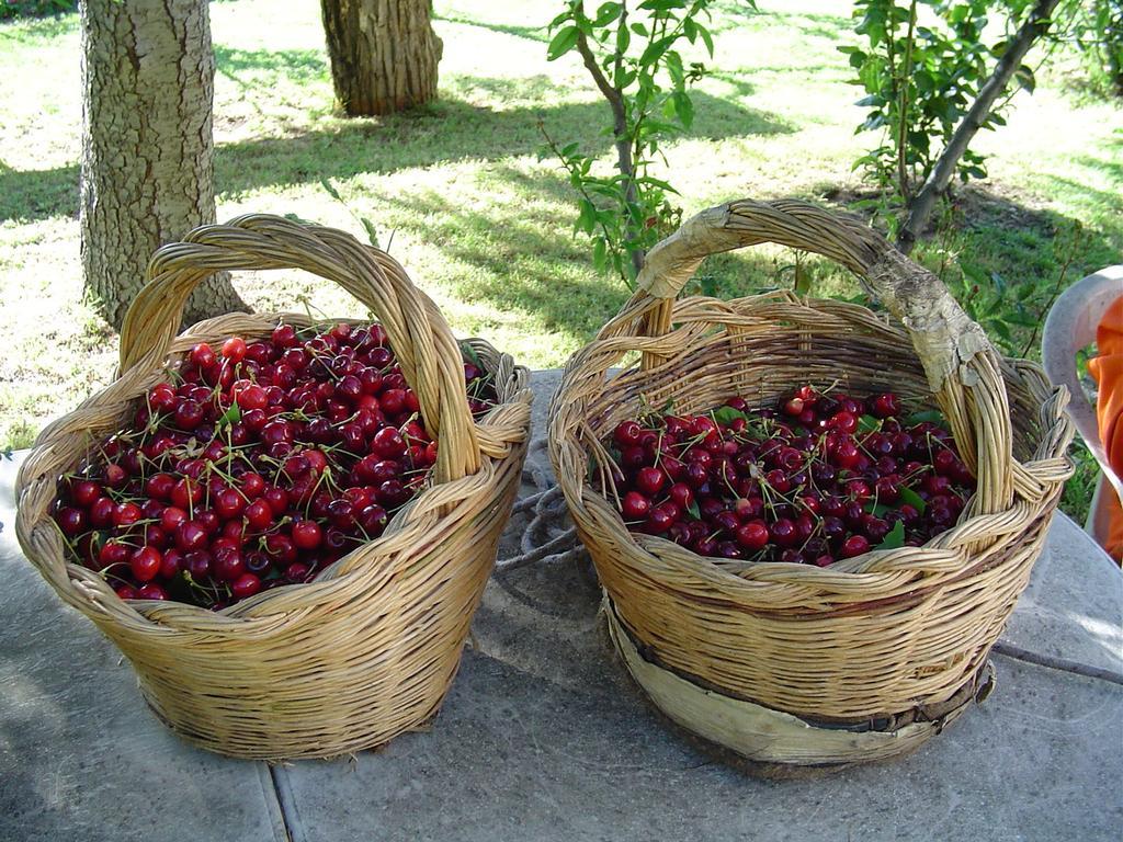 Agriturismo Sorripe Montelaterone Екстер'єр фото