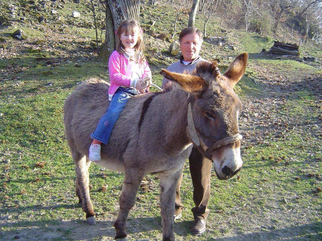 Agriturismo Sorripe Montelaterone Екстер'єр фото